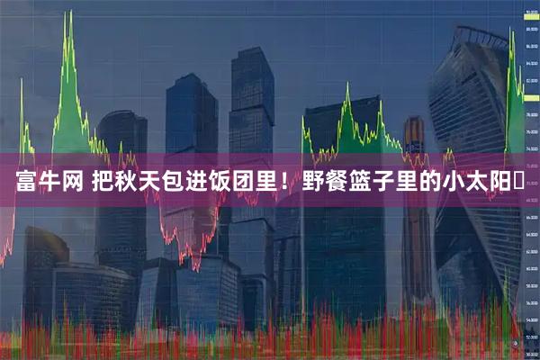 富牛网 把秋天包进饭团里！野餐篮子里的小太阳️