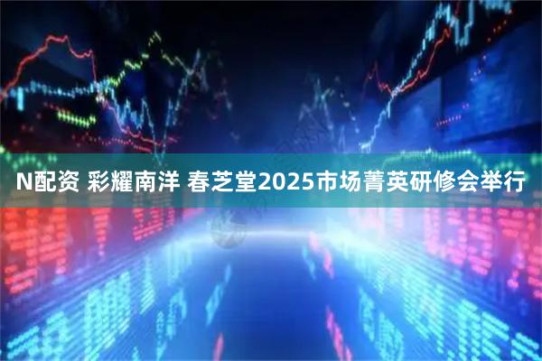 N配资 彩耀南洋 春芝堂2025市场菁英研修会举行