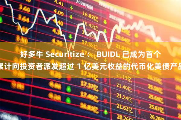 好多牛 Securitize ： BUIDL 已成为首个累计向投资者派发超过 1 亿美元收益的代币化美债产品